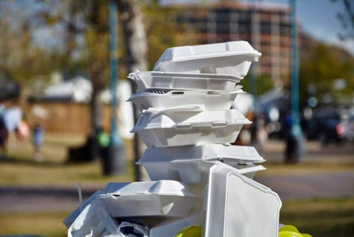 Styrofoam Containers Are Being Made Into A Valuable Seaweed Chemical Via Sunlight