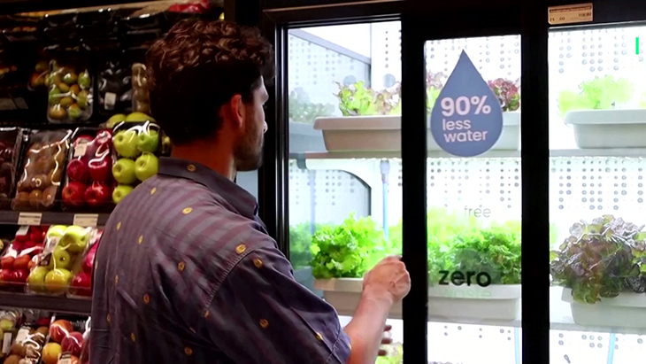 Lettuce Grown Inside Supermarket Is Sold Without Packaging, Reducing Unnecessary Waste