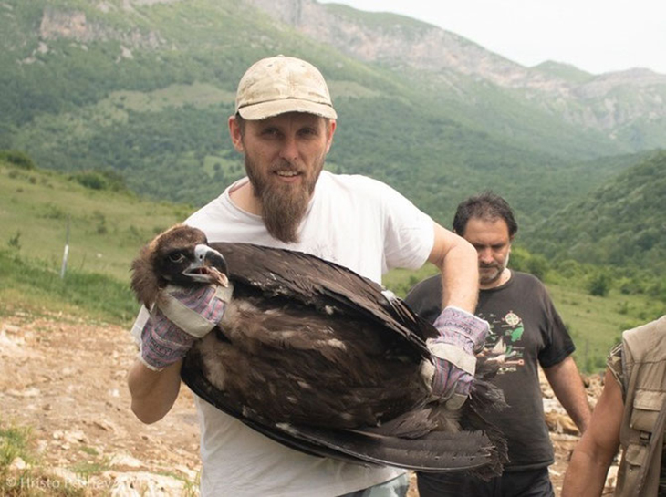 After Dying Out For Decades, Vultures Finally Released Out Into The Wild In Bulgaria