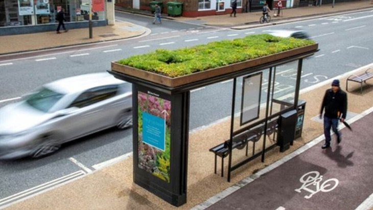 Scotland’s Bus Stops Plan To Go Green With Roofs Covered In Bee-Friendly Plants