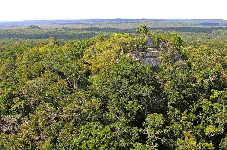 Incredible New Survey Reveals Ancient Mayan Structures, Proving They Were Way Ahead Of Their Time