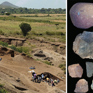 Evidence of Ancestors Using Tools Around 3-Million Years Ago Recently Unearthed In Kenya