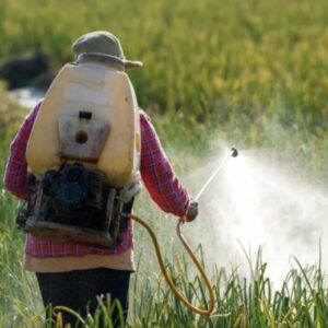 Chronic Exposure To Toxic Pesticides Increases The Risk Of Neurological Disorders In Children