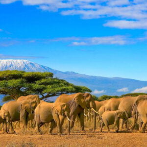 What To Visit In Tanzania: Best Tourist Destinations To Visit And Have Fun
