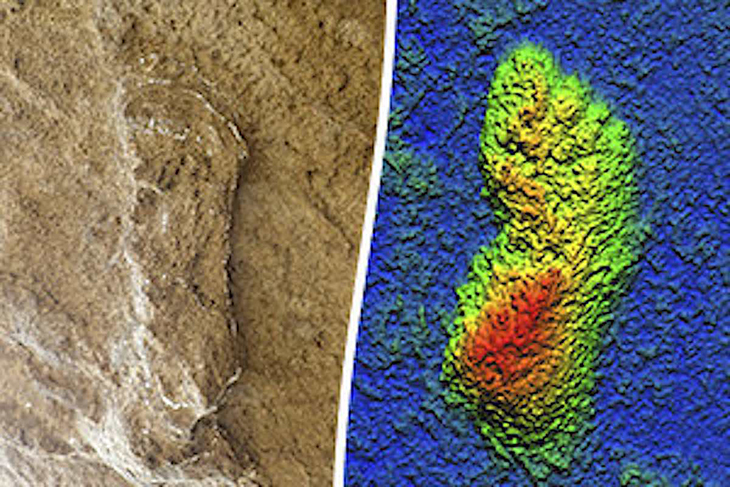 153,000-Year-Old Homo Sapiens Footprint Considered Oldest In The World Was Discovered In South Africa