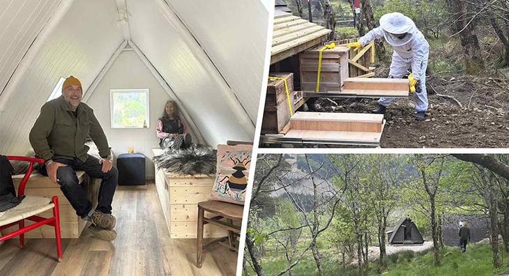 Interesting Bee Therapy Retreat Opens In Scotland, Using Vibrations And Scent Of Honey For Healing