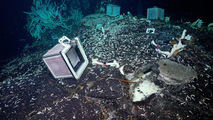 An Ecosystem Below The Seafloor Recently Discovered By Scientists