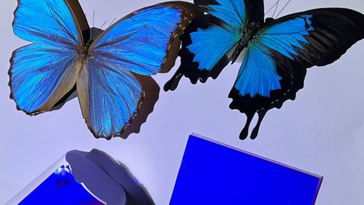 Colored Nanofilms Inspired By Butterflies Help Cool Buildings While Saving Energy