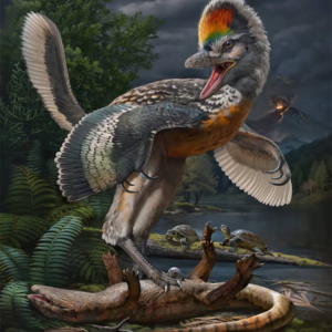 New Cretaceous Crane Described As ‘Bizarre’ Long-Legged Bird-Like Dinosaur Found In China