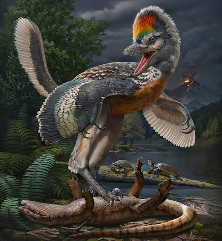 New Cretaceous Crane Described As ‘Bizarre’ Long-Legged Bird-Like Dinosaur Found In China