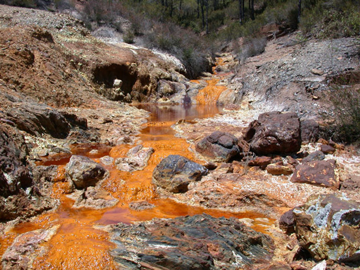 Healthy Soil That Comes From Toxic Mine Waste