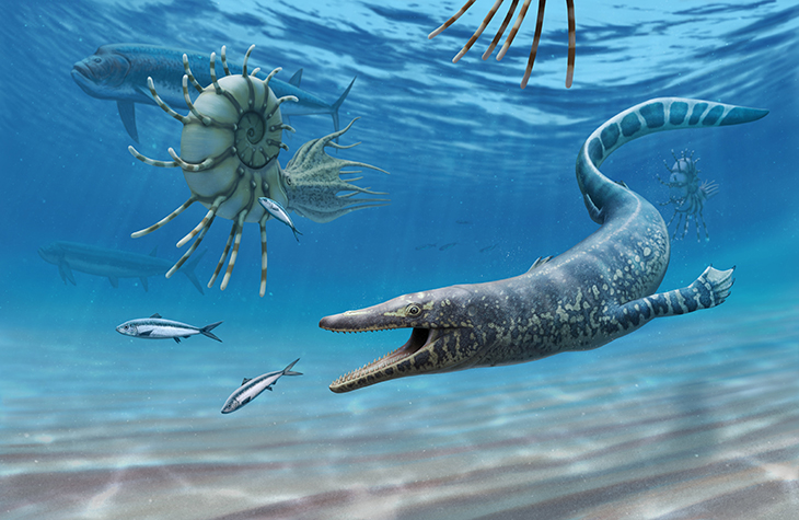 Norse Mythology Horse May Be Proven With A Mosasaur Fossil