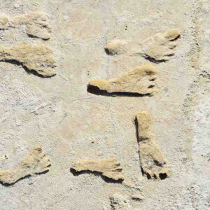 The Oldest Fossilized Human Footprints Found In North America Are Said To Be Over 20,000 Years Old