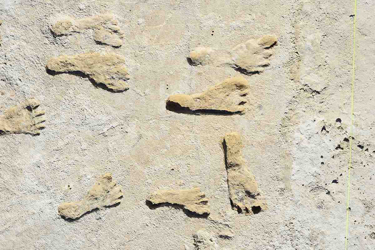 The Oldest Fossilized Human Footprints Found In North America Are Said To Be Over 20,000 Years Old