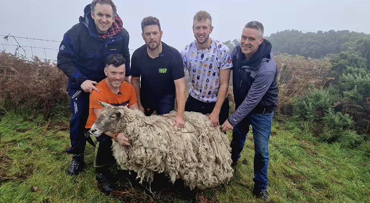 Rescue Operation Saves Sheep Stranded For Two Years Alone At The Foot Of A Scottish Cliff