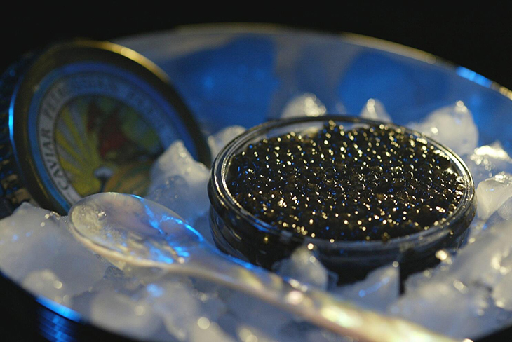 A More Superior Caviar Produced With The New No-Kill Method