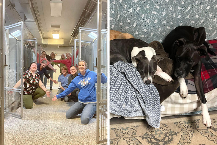 Pennsylvania Shelter Finally Empties Kennels For The First Time Ever