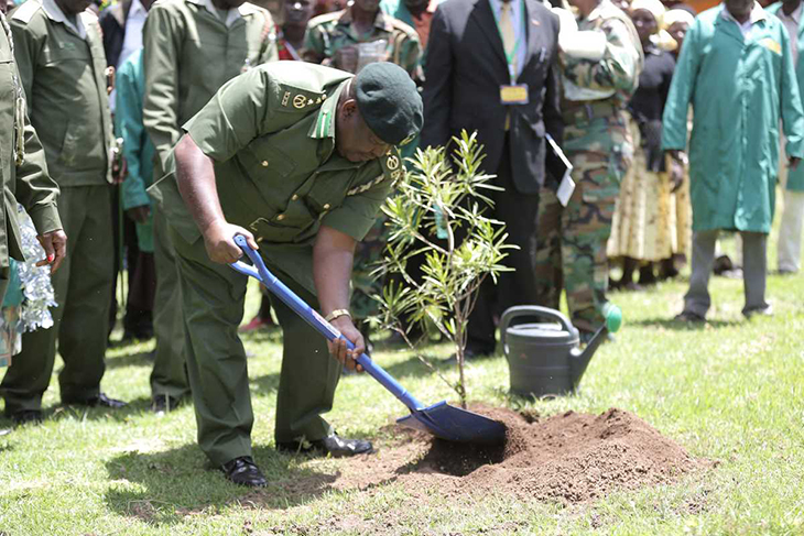Kenyans Play Vital Role In Reforestation Efforts During 3-Day Weekend Of New National Tree-Planting Holiday