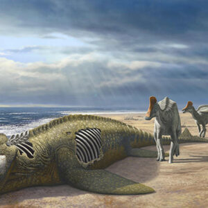 How Dinosaurs The Size Of Ponies Colonized Africa