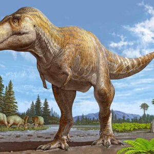 Scientists May Have Just Discovered The Closest Known Relative Of The Infamous T. Rex