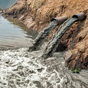 The Fight For Clean Water: Addressing Indian River Pollution Challenges