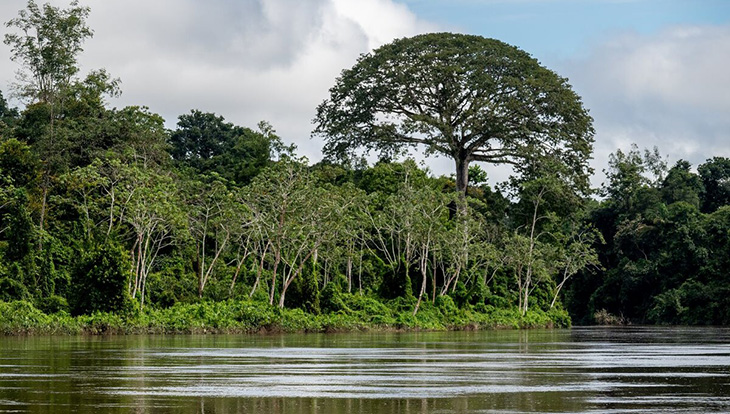 Private Investment In Nature Conservation Soars Beyond $102 Billion