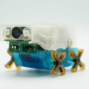 Underground Innovators: How Tiny Robots Are Revolutionizing Water Pipe Repair